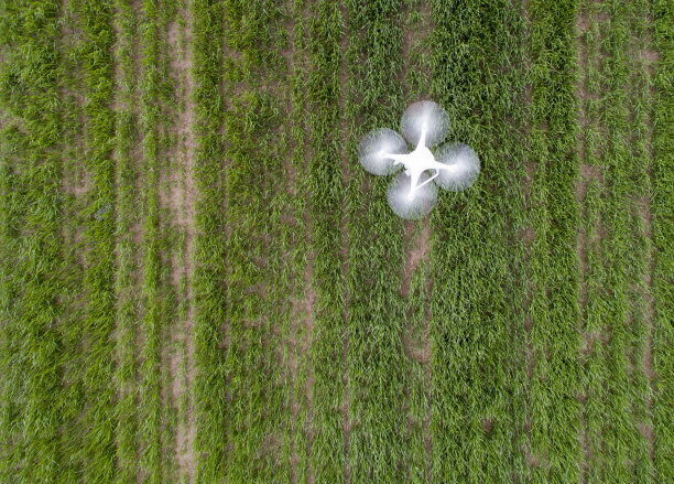 空中拍摄农田