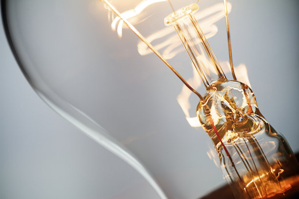 bulbs