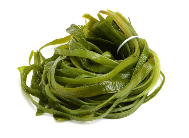 中华海草
