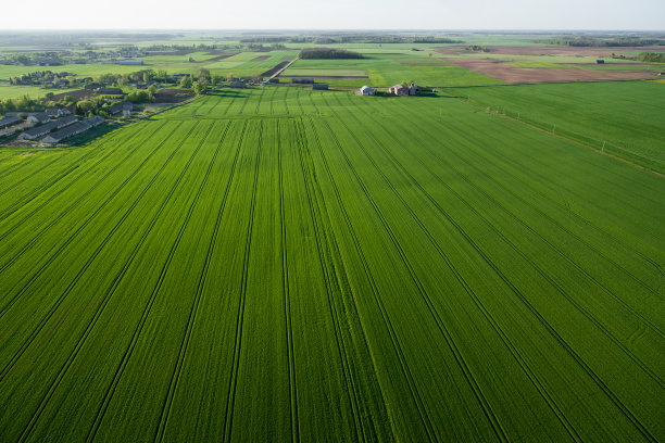 field