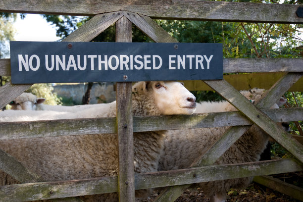 警告标识,安全,禁止的