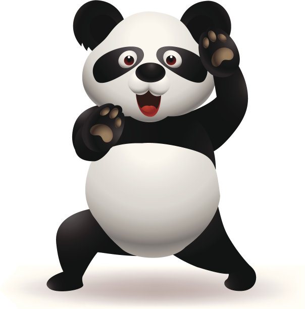 中国武术中国功夫