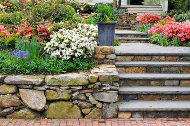 steps