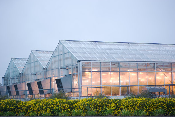 greenhouse