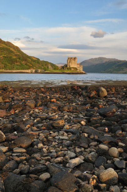 donan