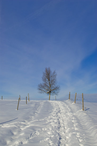 雪地脚印车印