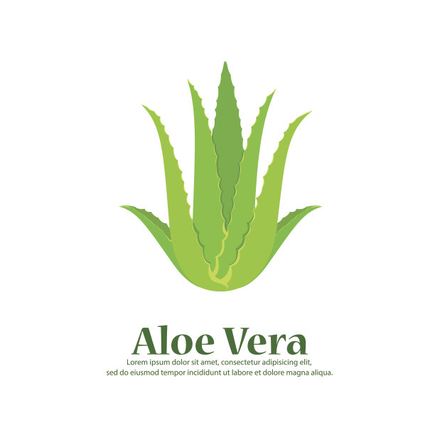 aloe