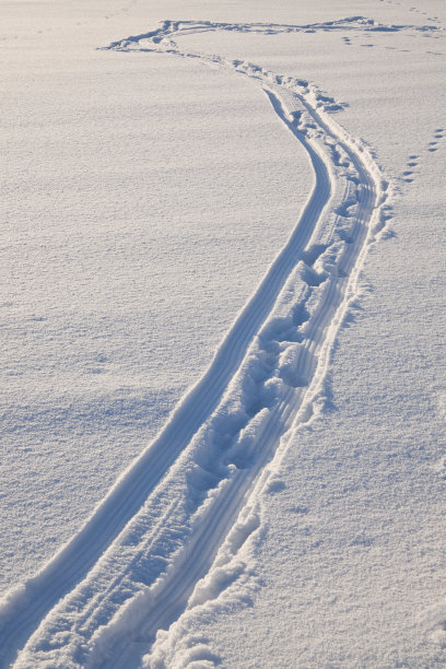 寒冷,冬天,雪