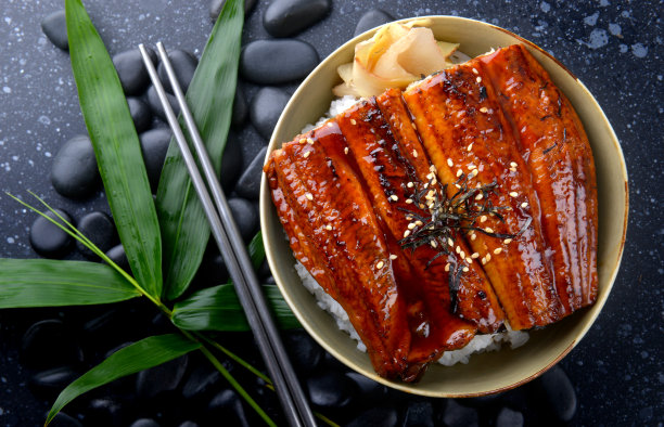 eel
