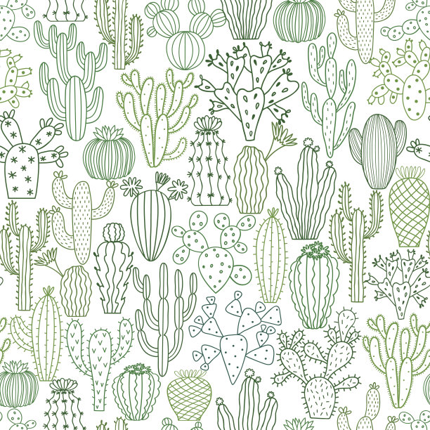 cactus