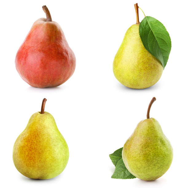 pyrus