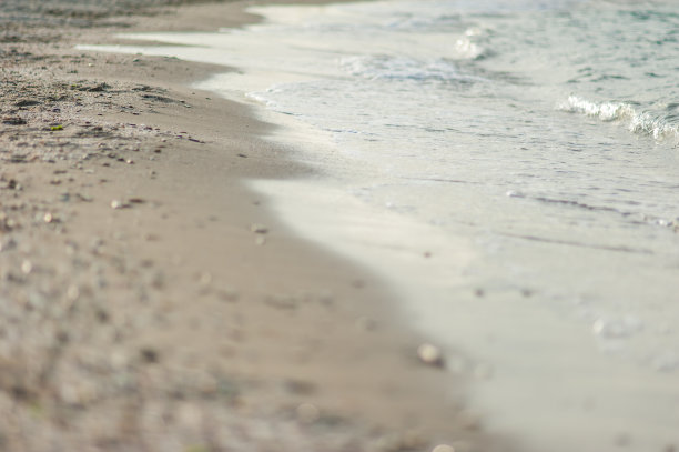 brac
