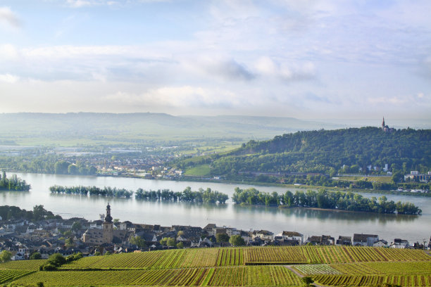 rudesheim