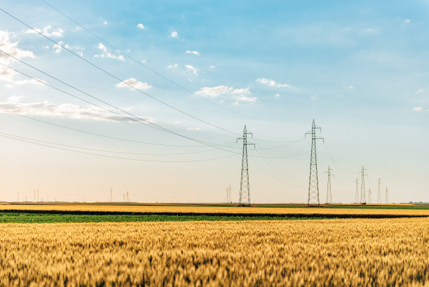 pylons