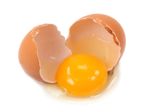 yolk