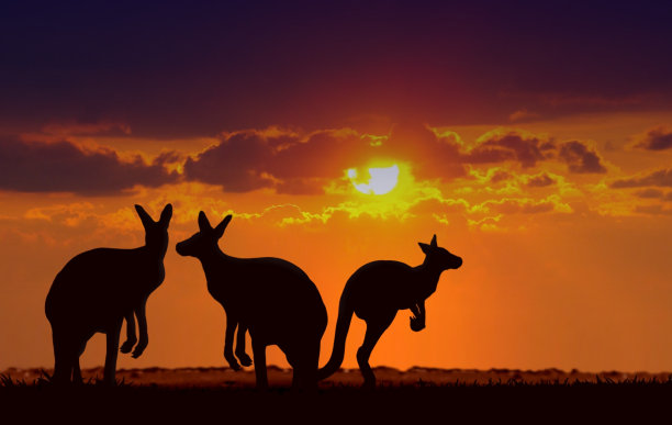 australian