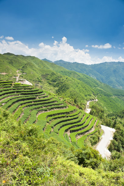 fujian