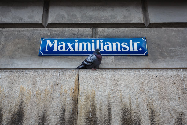 maximilian