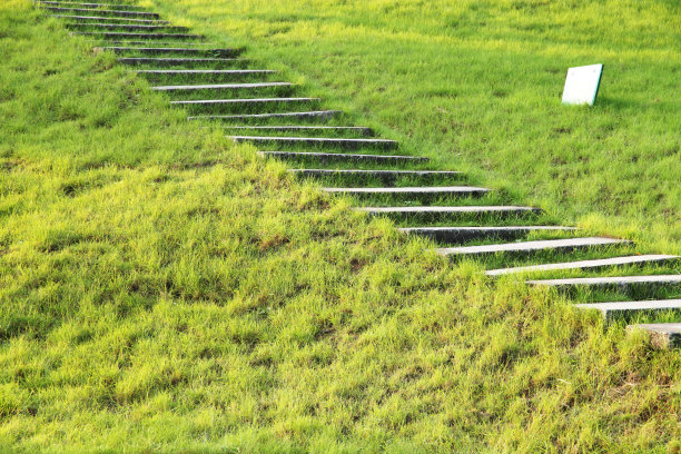 乡村道路草坪一点透视