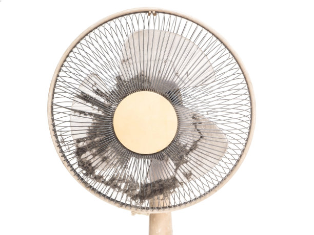 fan