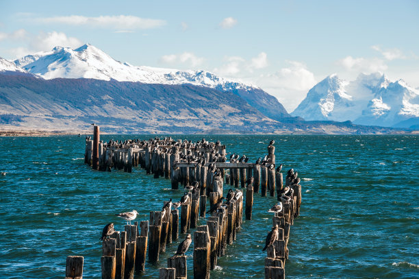 chile