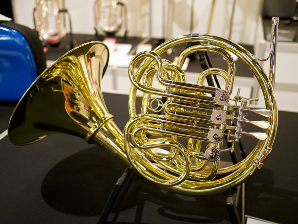 horns