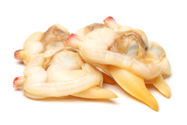 tridacna