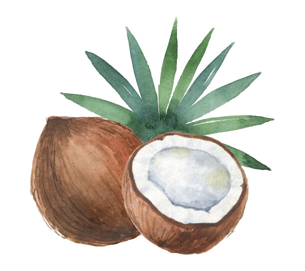 coconut