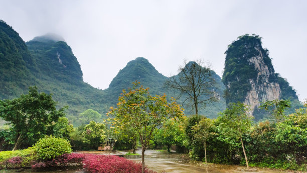 桂林山水田园