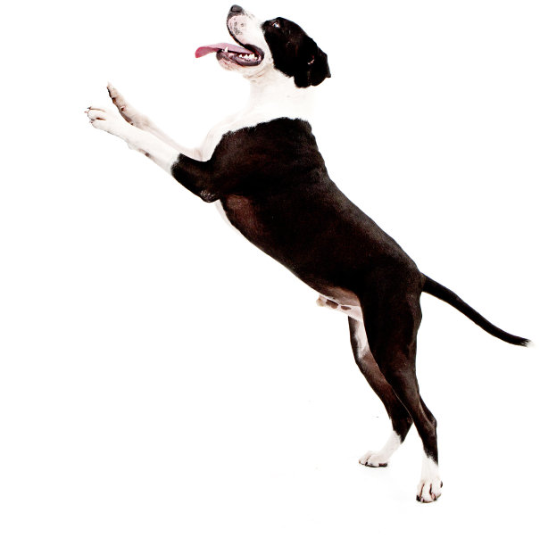 leaping