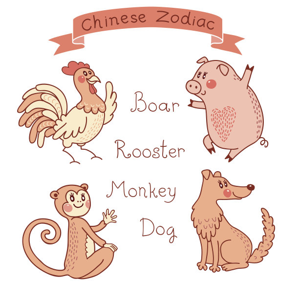 华丽的,东亚人,猿