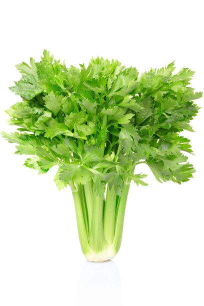 celery