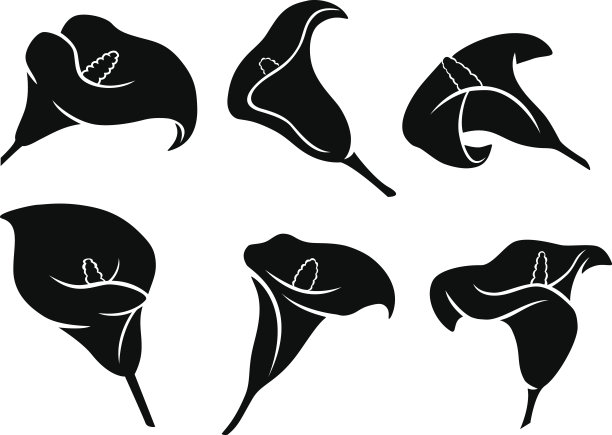 calla