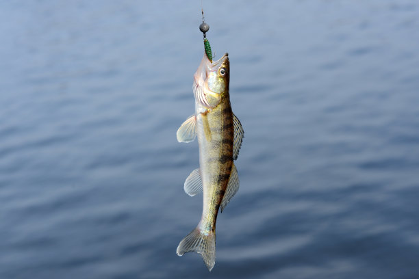 pike