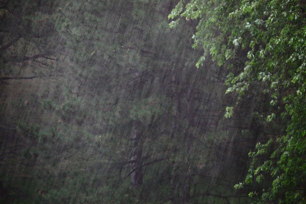 drizzle