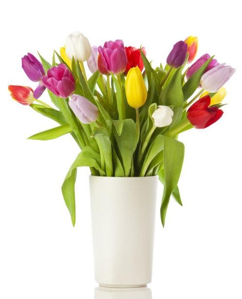 vase