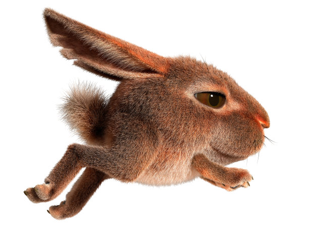 科技兔形象设计