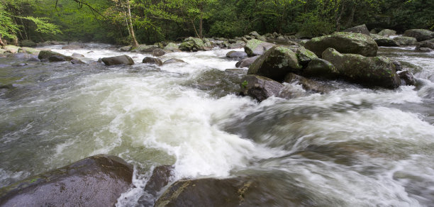 rapids