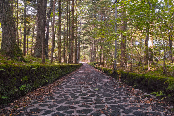 pathway