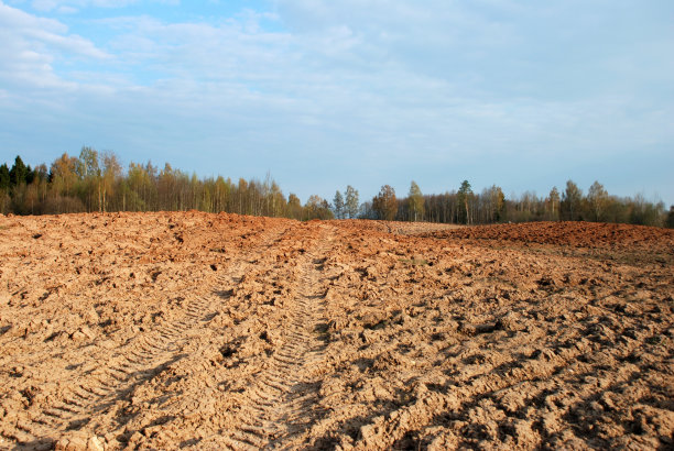 ground