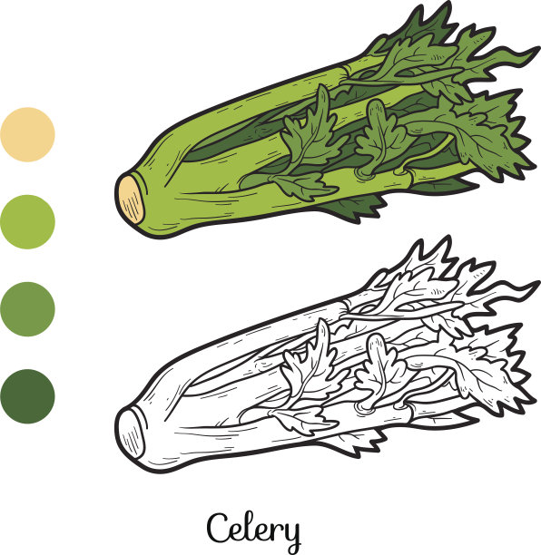 celery