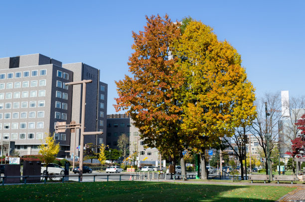 odori