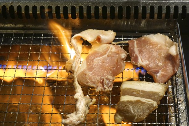 肉,吃饭,无人