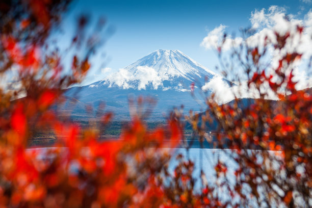 fuji