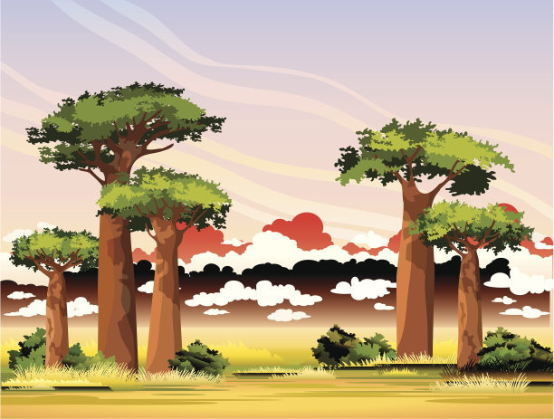 baobab