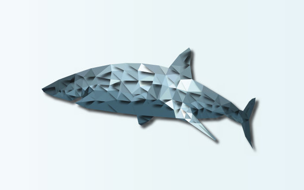 鲨鱼形象设计