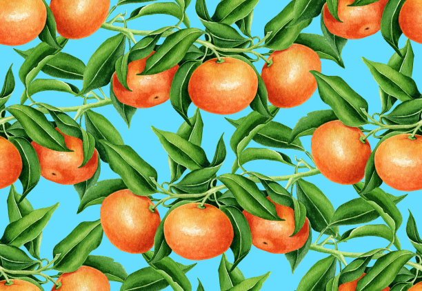 橘子,桔子