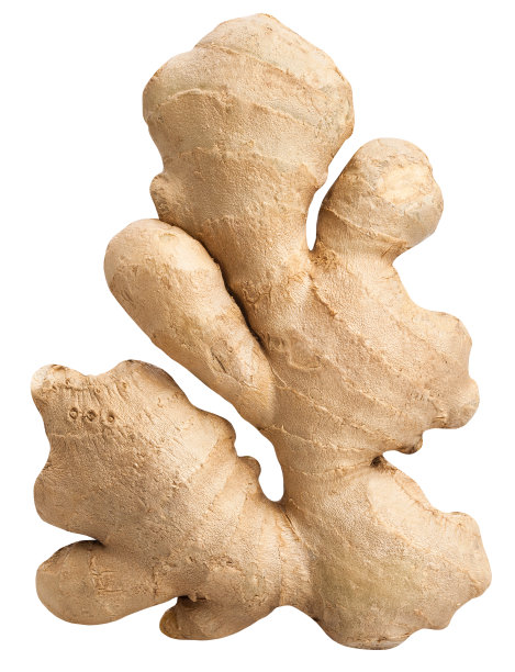 ginger