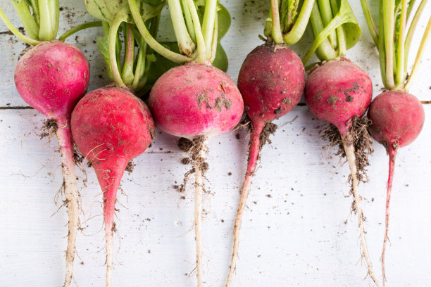 radishes