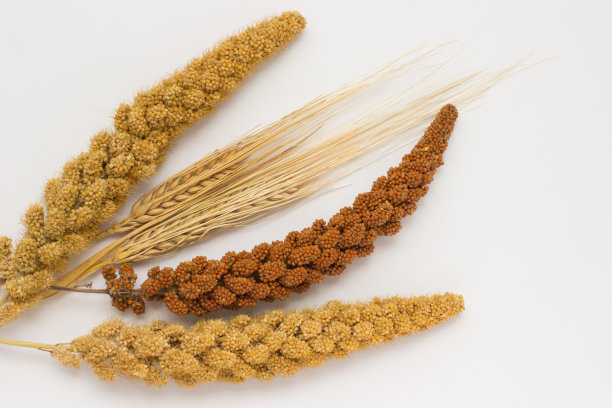 millet